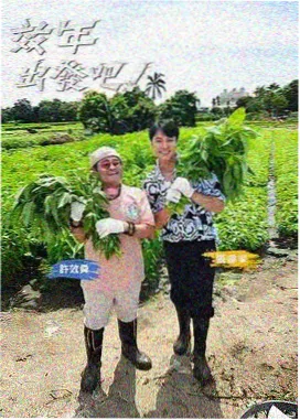 樱花庄的少女 校园动漫推荐